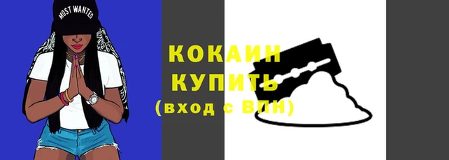 гашик Магас