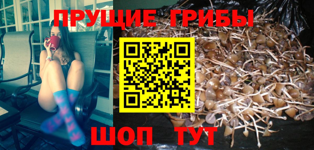 Псилоцибиновые грибы прущие грибы  Галлюциногенные грибы мицелий  Сургут  Вход с VPN 